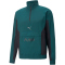 varsity green