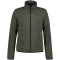 592 - dark green