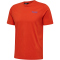 5199 - orangecom