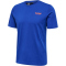 7956 - mazarine blue