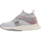 2509 - lunar rock