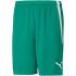 PUMA teamLIGA Trainingsshorts Herren 09 - cordovan/puma...