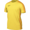 719 - tour yellow/university gold/black