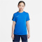 463 - royal blue/obsidian/white