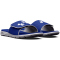 401 - royal/white/white