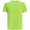 369 - lime surge/lime surge/reflective