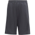 adidas Train Essentials Aeroready Regular-Fit Shorts...