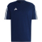 AEQ1 - tenabl/white