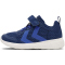 7017 - navy peony