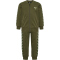 6453 - olive night