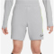 007 - flt silver/volt/black