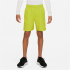 NIKE Multi+ Dri-FIT Icon Shorts Jungen 301 - green...