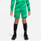 324 - stadium green/malachite/white