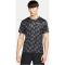 060 - anthracite/reflective silv