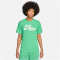 363 - spring green