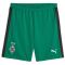 03 - power green-puma black
