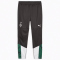 09 - power green/puma black