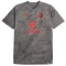 15 - flat medium gray/for all time red