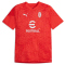 12 - for all time red/feather gray