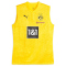 01 - cyber yellow/puma black
