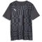 03 - asphalt/puma black