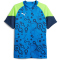 54 - persian blue/pro green