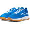 03 - puma team royal/puma white/gum