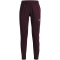 600 - dark maroon/beta