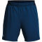 426 - varsity blue/blizzard