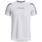 100 - white/pitch gray
