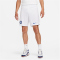 100 - white/white/lyon blue