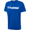 7045 - true blue