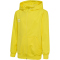 5269 - blazing yellow