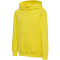 5269 - blazing yellow