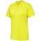 5269 - blazing yellow