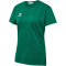 6140 - evergreen