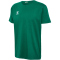 6140 - evergreen