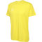 5269 - blazing yellow