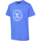 7010 - nebulas blue