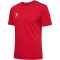 3062 - true red