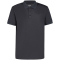 290 - anthracite