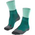 7442 - teal