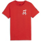 10 - puma red