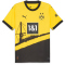 01 - cyber yellow/puma black