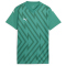 05 - sport green/puma white/power green