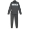 80 - mineral gray