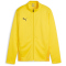 07 - faster yellow/puma black/sport yellow