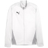 PUMA teamGOAL Trainingsjacke Jungen 06 - PUMA navy/PUMA...
