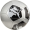 03 - puma silver/puma black
