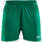 1651 - team green/white